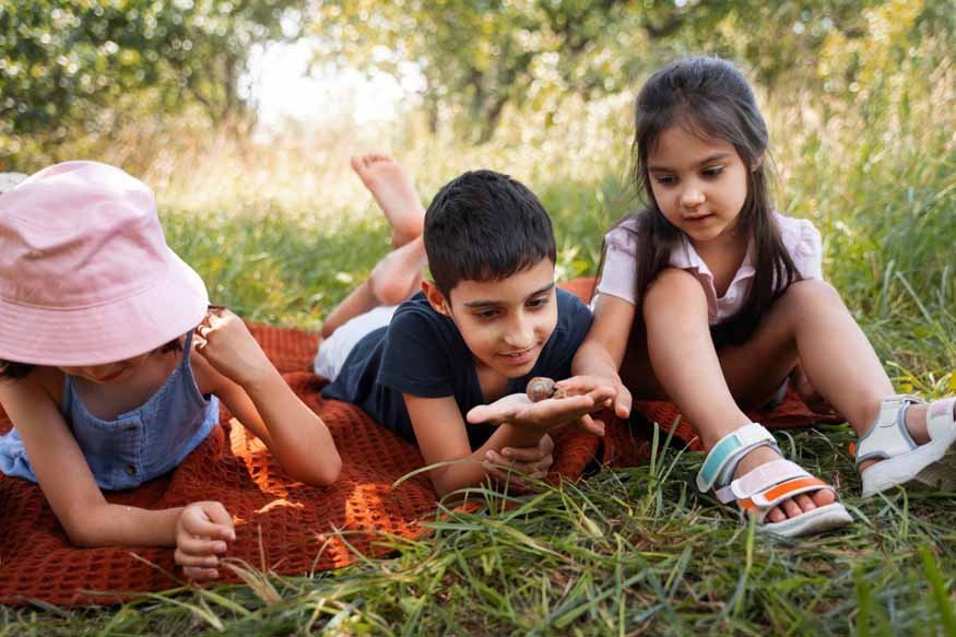 Kids Farm Play