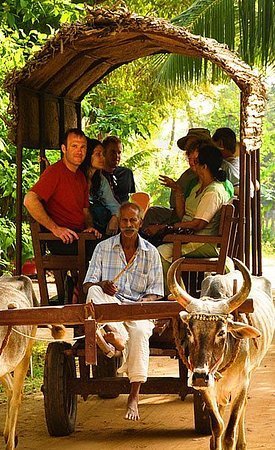 Bullock Cart Ride