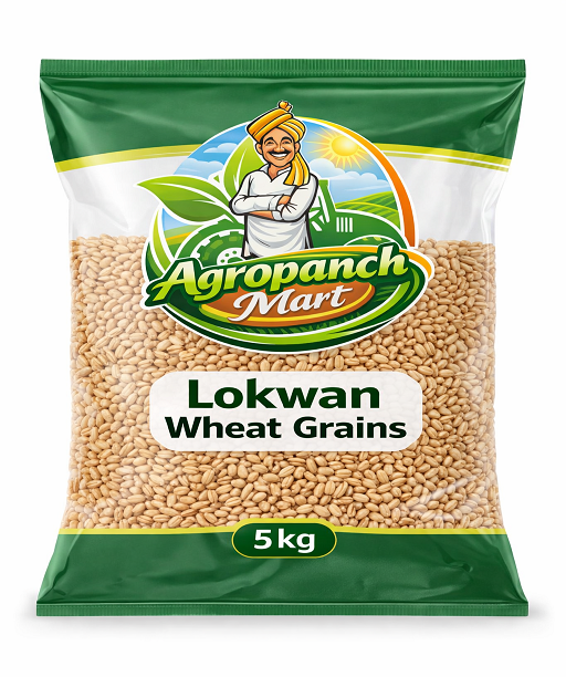 Agropanch Wheat - Lokwan, 5 kg Bag